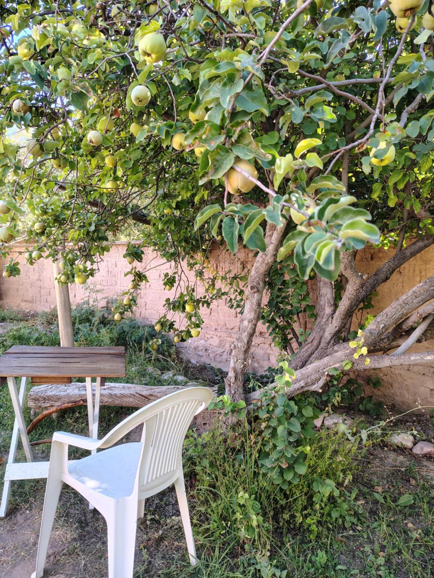 A Pousada Inti Sayana Humahuaca Exterior foto