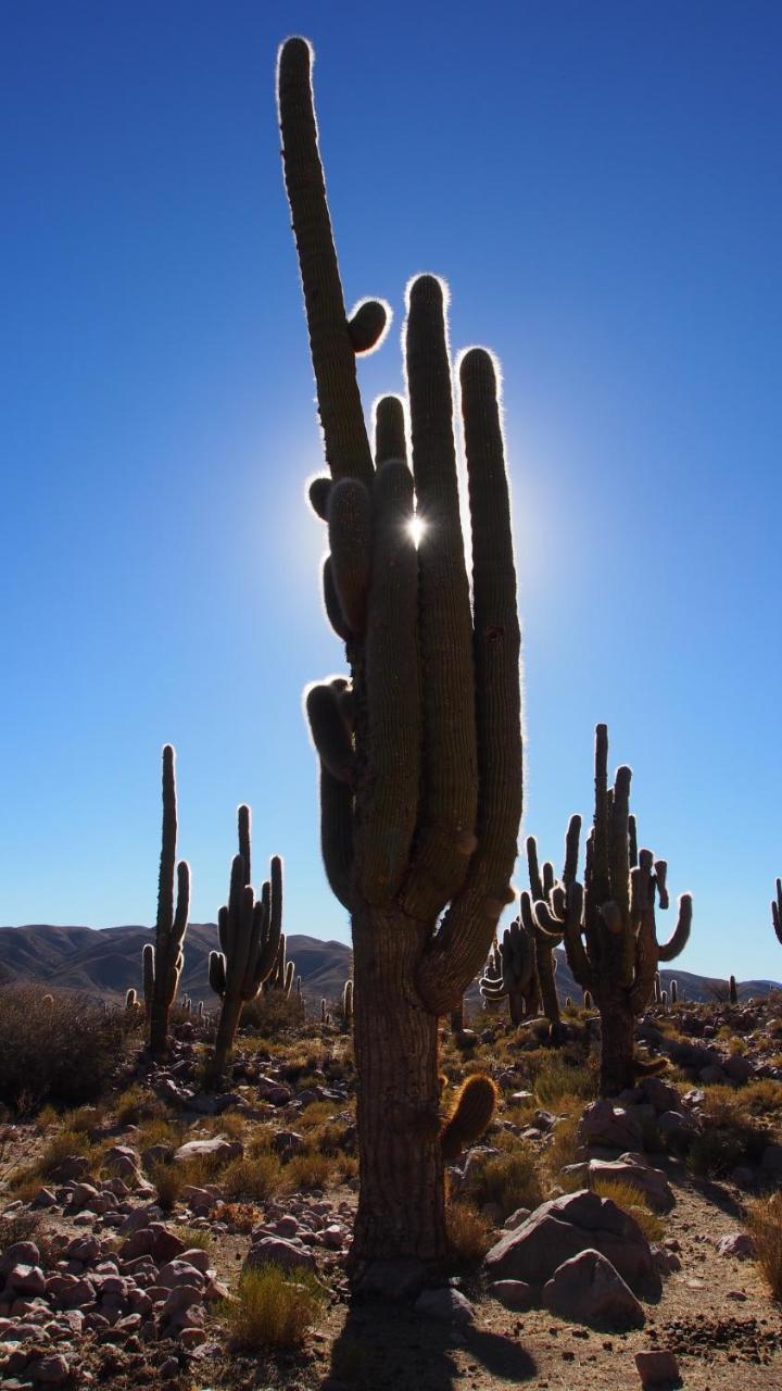 A Pousada Inti Sayana Humahuaca Exterior foto