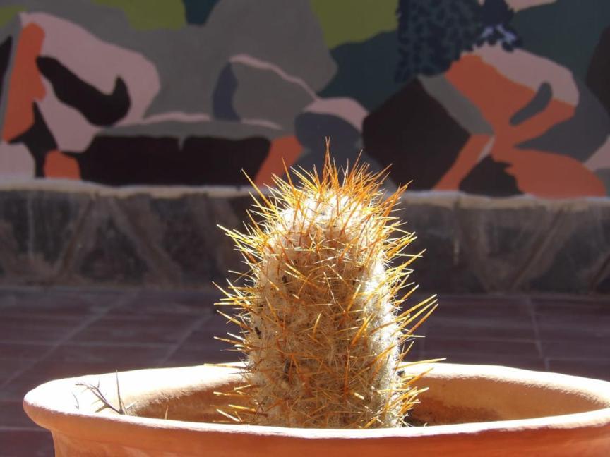 A Pousada Inti Sayana Humahuaca Exterior foto